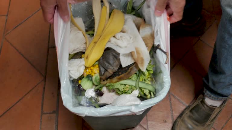 Best Basement Cleanout  in Carson, WA